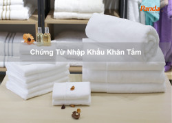 Chứng Từ Nhập Khẩu Khăn Tắm